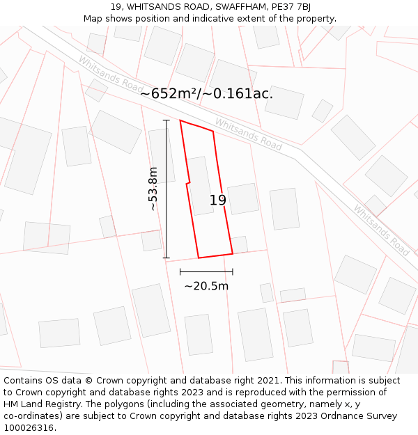 19, WHITSANDS ROAD, SWAFFHAM, PE37 7BJ: Plot and title map