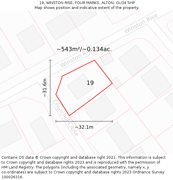 19, WINSTON RISE, FOUR MARKS, ALTON, GU34 5HP: Plot and title map