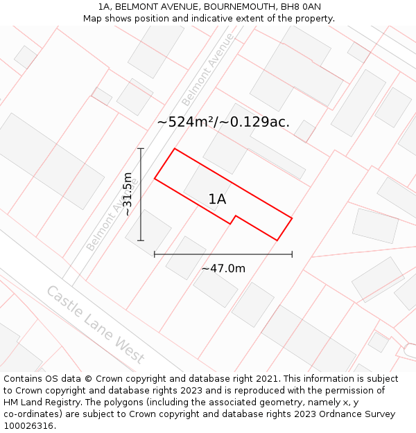 1A, BELMONT AVENUE, BOURNEMOUTH, BH8 0AN: Plot and title map