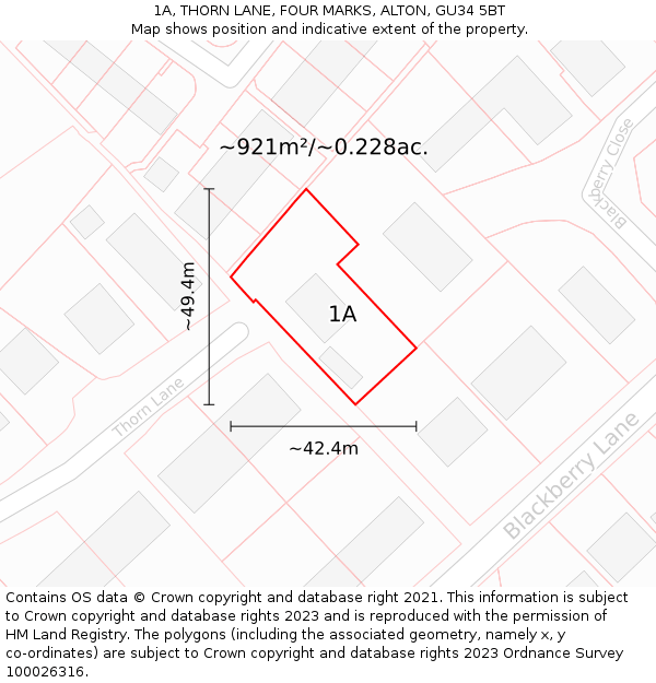 1A, THORN LANE, FOUR MARKS, ALTON, GU34 5BT: Plot and title map