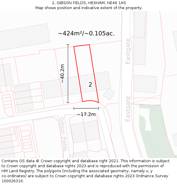 2, GIBSON FIELDS, HEXHAM, NE46 1AS: Plot and title map