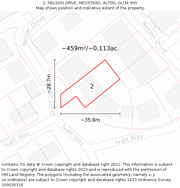 2, NELSON DRIVE, MEDSTEAD, ALTON, GU34 5NY: Plot and title map