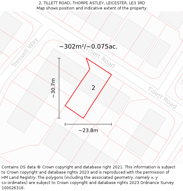 2, TILLETT ROAD, THORPE ASTLEY, LEICESTER, LE3 3RD: Plot and title map