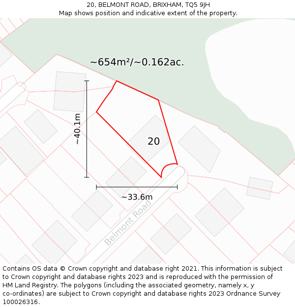 20, BELMONT ROAD, BRIXHAM, TQ5 9JH: Plot and title map