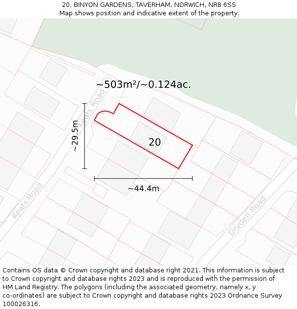 20, BINYON GARDENS, TAVERHAM, NORWICH, NR8 6SS: Plot and title map