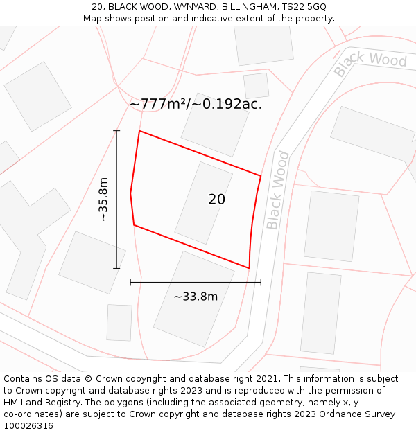 20, BLACK WOOD, WYNYARD, BILLINGHAM, TS22 5GQ: Plot and title map