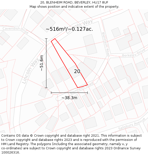 20, BLENHEIM ROAD, BEVERLEY, HU17 8UF: Plot and title map