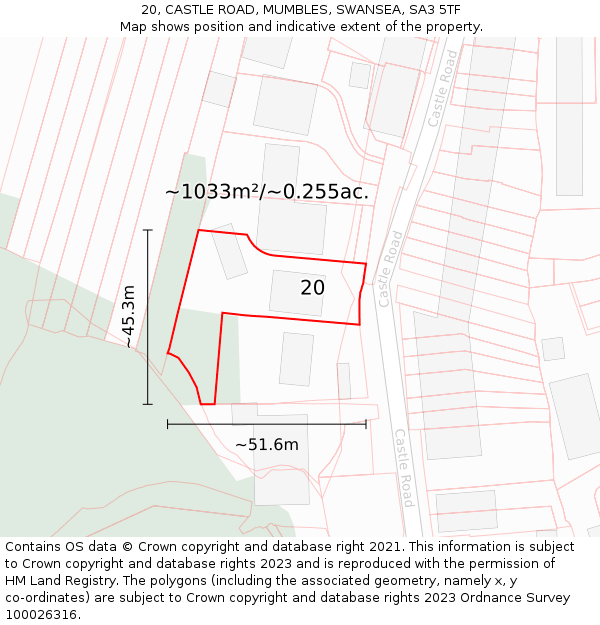 20, CASTLE ROAD, MUMBLES, SWANSEA, SA3 5TF: Plot and title map