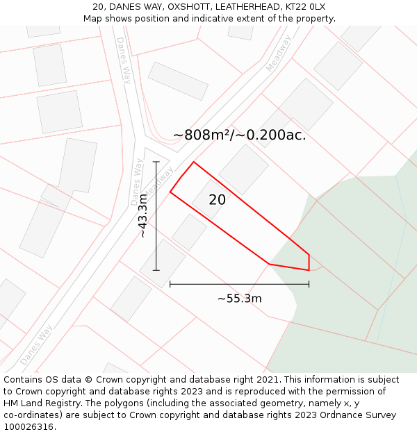 20, DANES WAY, OXSHOTT, LEATHERHEAD, KT22 0LX: Plot and title map