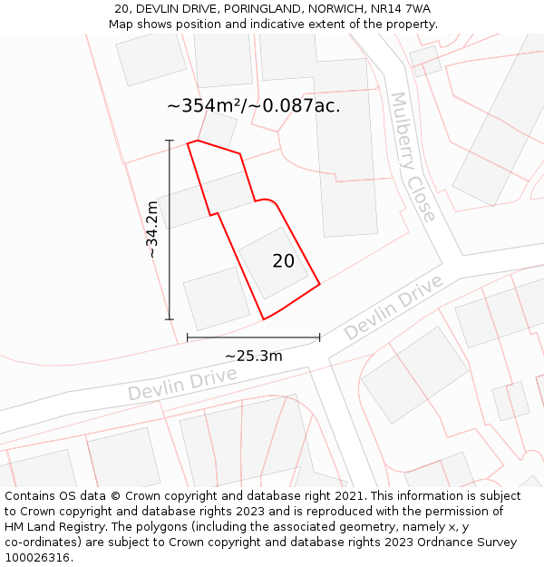 20, DEVLIN DRIVE, PORINGLAND, NORWICH, NR14 7WA: Plot and title map