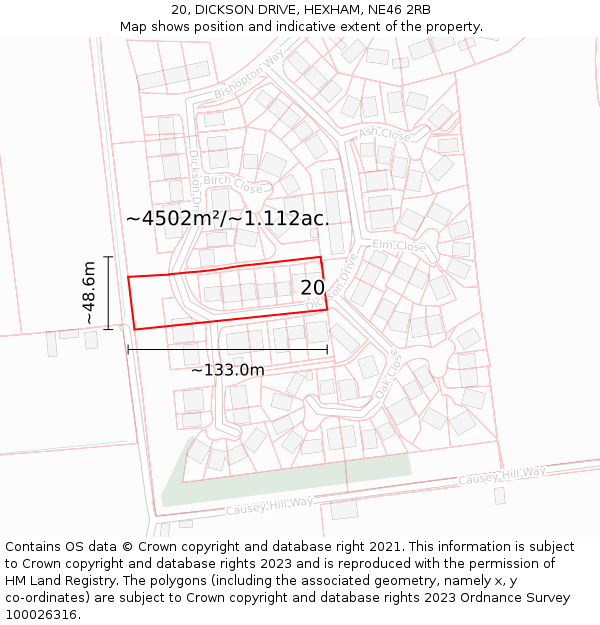 20, DICKSON DRIVE, HEXHAM, NE46 2RB: Plot and title map