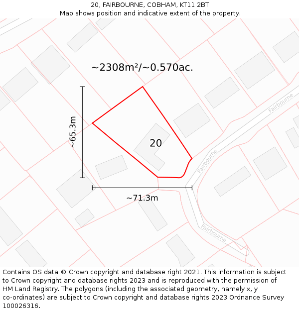 20, FAIRBOURNE, COBHAM, KT11 2BT: Plot and title map