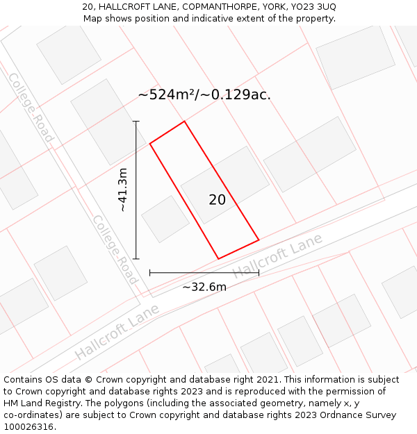 20, HALLCROFT LANE, COPMANTHORPE, YORK, YO23 3UQ: Plot and title map