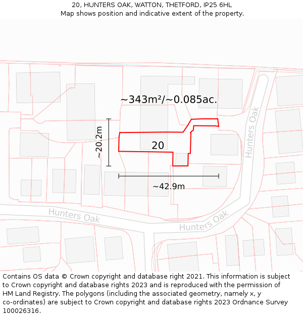 20, HUNTERS OAK, WATTON, THETFORD, IP25 6HL: Plot and title map