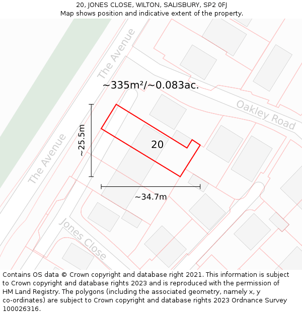 20, JONES CLOSE, WILTON, SALISBURY, SP2 0FJ: Plot and title map