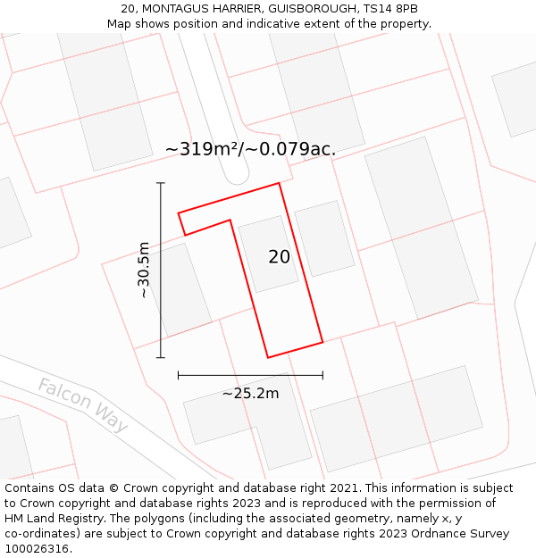 20, MONTAGUS HARRIER, GUISBOROUGH, TS14 8PB: Plot and title map