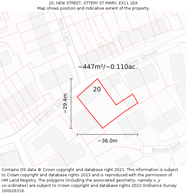 20, NEW STREET, OTTERY ST MARY, EX11 1EA: Plot and title map