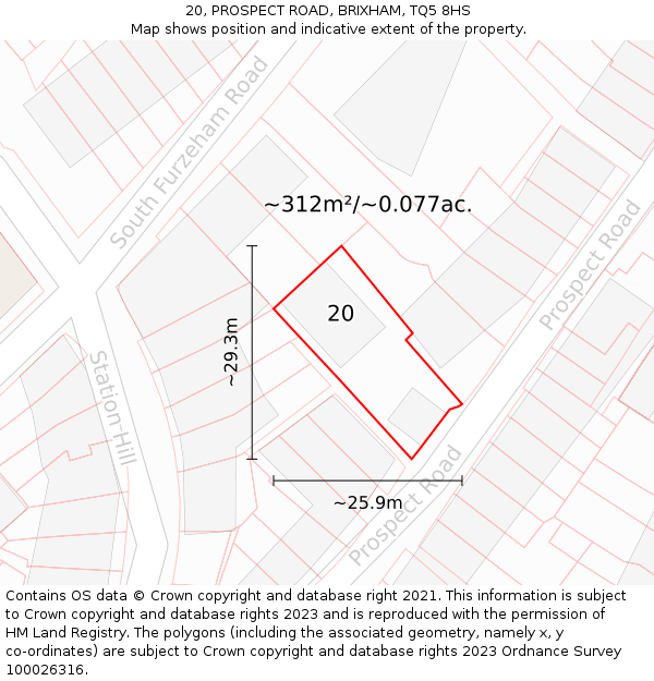 20, PROSPECT ROAD, BRIXHAM, TQ5 8HS: Plot and title map