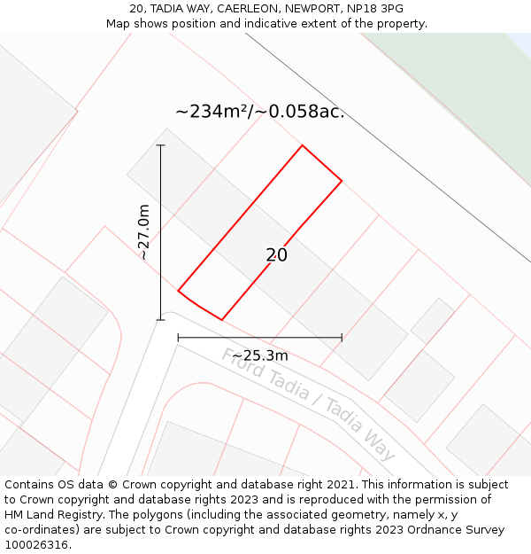 20, TADIA WAY, CAERLEON, NEWPORT, NP18 3PG: Plot and title map