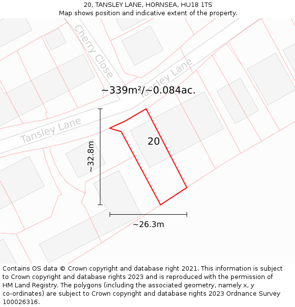 20, TANSLEY LANE, HORNSEA, HU18 1TS: Plot and title map