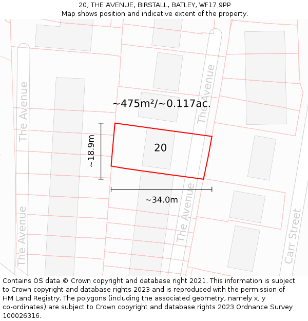 20, THE AVENUE, BIRSTALL, BATLEY, WF17 9PP: Plot and title map