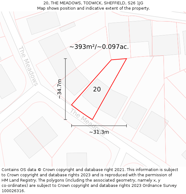 20, THE MEADOWS, TODWICK, SHEFFIELD, S26 1JG: Plot and title map