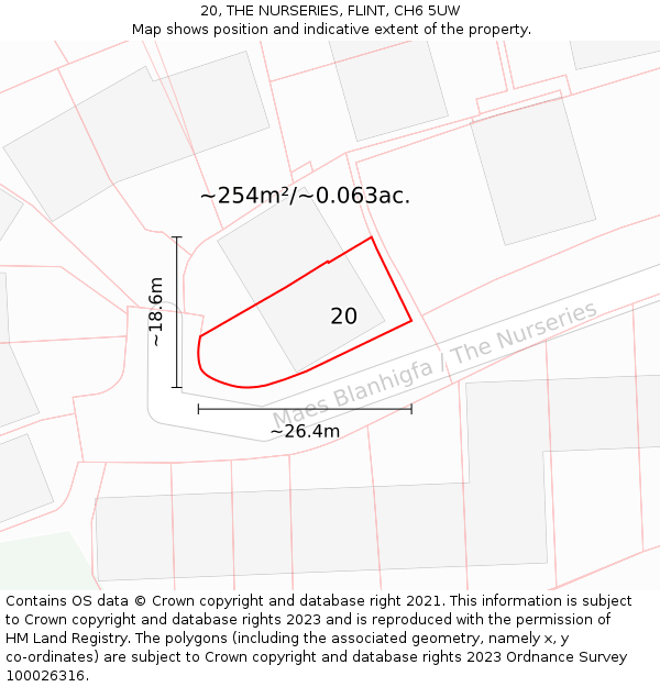 20, THE NURSERIES, FLINT, CH6 5UW: Plot and title map