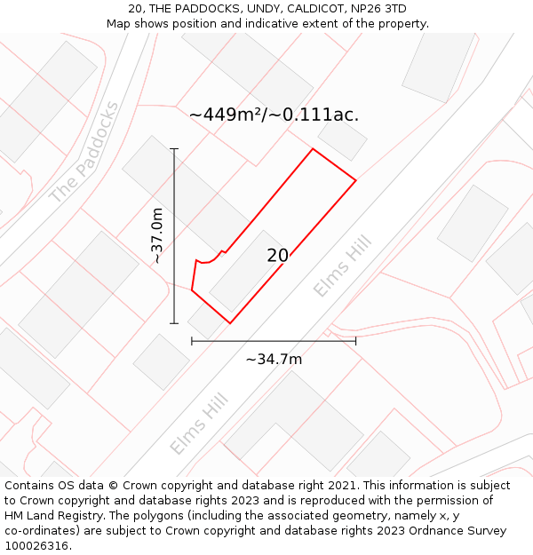 20, THE PADDOCKS, UNDY, CALDICOT, NP26 3TD: Plot and title map