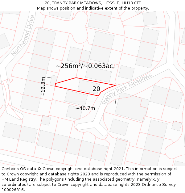 20, TRANBY PARK MEADOWS, HESSLE, HU13 0TF: Plot and title map