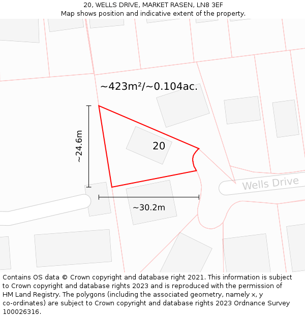 20, WELLS DRIVE, MARKET RASEN, LN8 3EF: Plot and title map