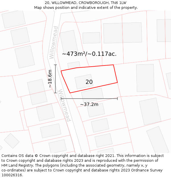 20, WILLOWMEAD, CROWBOROUGH, TN6 1LW: Plot and title map