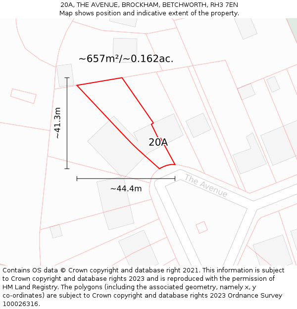 20A, THE AVENUE, BROCKHAM, BETCHWORTH, RH3 7EN: Plot and title map