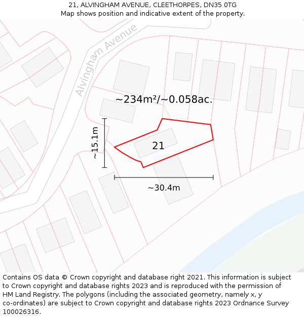 21, ALVINGHAM AVENUE, CLEETHORPES, DN35 0TG: Plot and title map