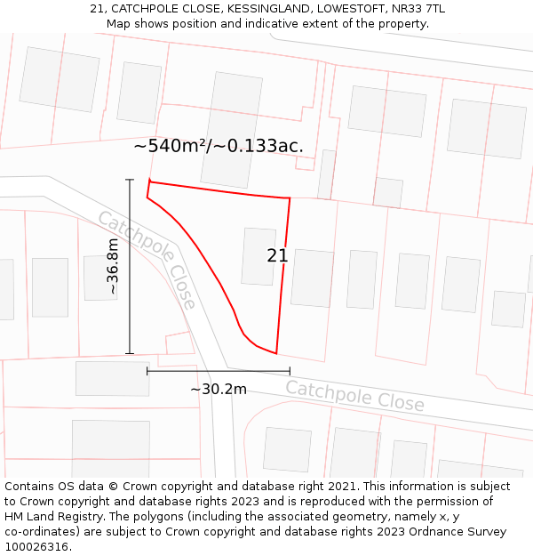 21, CATCHPOLE CLOSE, KESSINGLAND, LOWESTOFT, NR33 7TL: Plot and title map