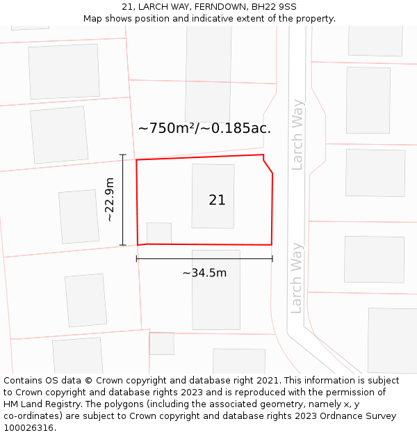 21, LARCH WAY, FERNDOWN, BH22 9SS: Plot and title map