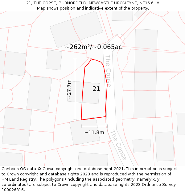 21, THE COPSE, BURNOPFIELD, NEWCASTLE UPON TYNE, NE16 6HA: Plot and title map