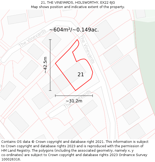 21, THE VINEYARDS, HOLSWORTHY, EX22 6JG: Plot and title map