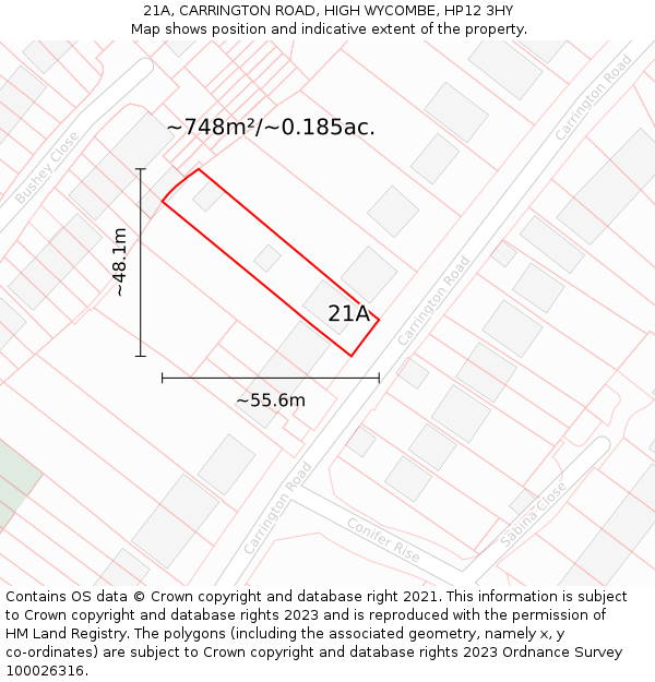 21A, CARRINGTON ROAD, HIGH WYCOMBE, HP12 3HY: Plot and title map