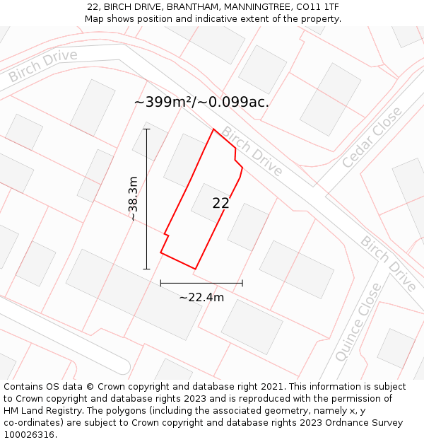 22, BIRCH DRIVE, BRANTHAM, MANNINGTREE, CO11 1TF: Plot and title map