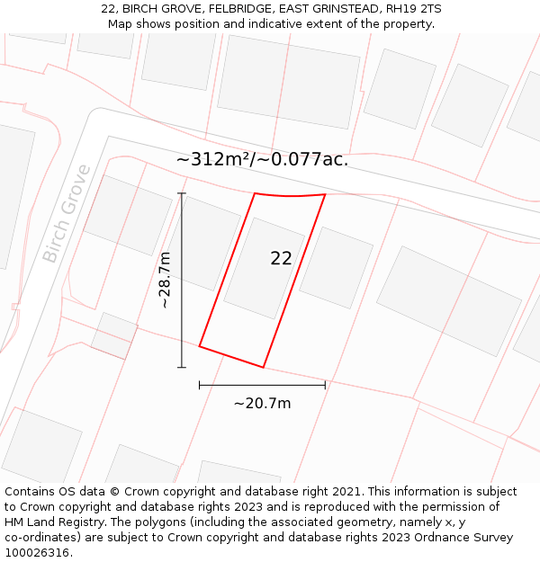 22, BIRCH GROVE, FELBRIDGE, EAST GRINSTEAD, RH19 2TS: Plot and title map