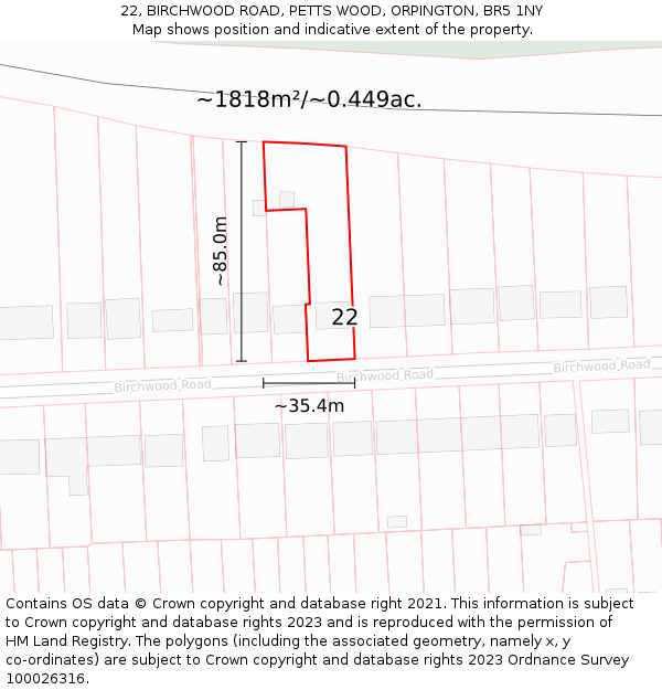 22, BIRCHWOOD ROAD, PETTS WOOD, ORPINGTON, BR5 1NY: Plot and title map