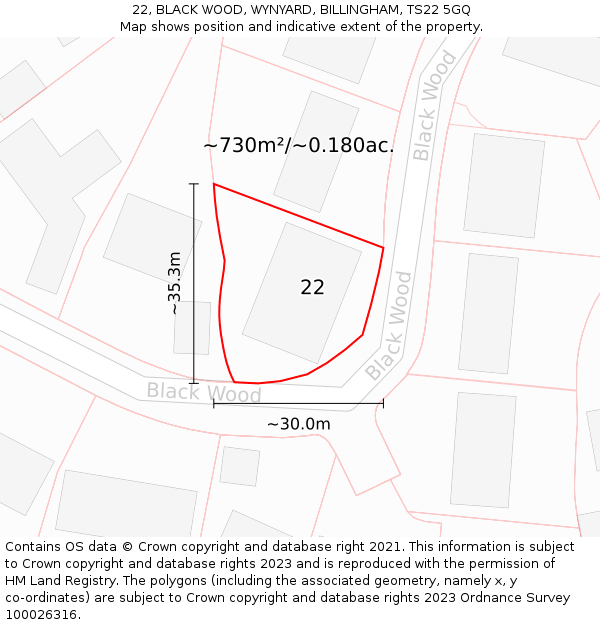 22, BLACK WOOD, WYNYARD, BILLINGHAM, TS22 5GQ: Plot and title map