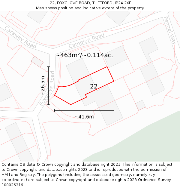 22, FOXGLOVE ROAD, THETFORD, IP24 2XF: Plot and title map