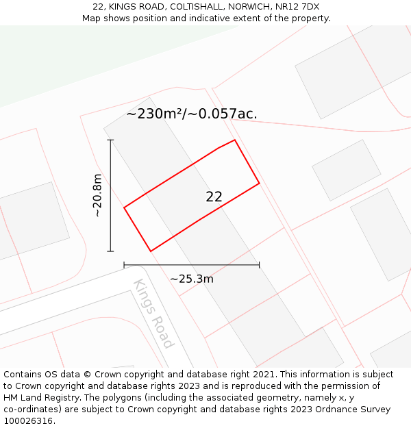 22, KINGS ROAD, COLTISHALL, NORWICH, NR12 7DX: Plot and title map