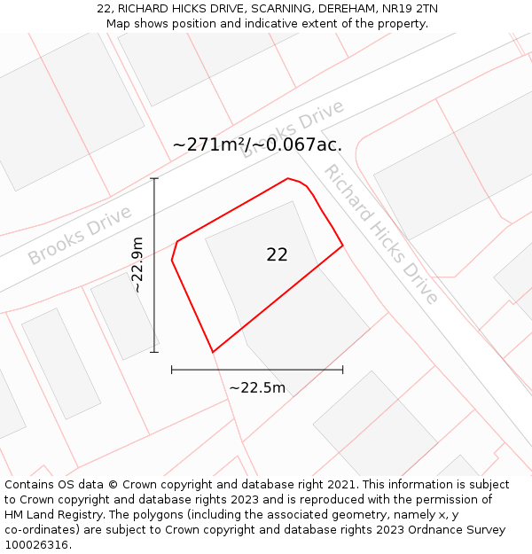 22, RICHARD HICKS DRIVE, SCARNING, DEREHAM, NR19 2TN: Plot and title map