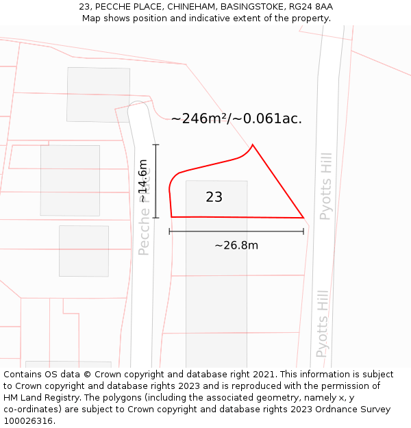 23, PECCHE PLACE, CHINEHAM, BASINGSTOKE, RG24 8AA: Plot and title map