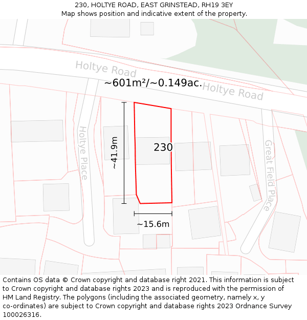 230, HOLTYE ROAD, EAST GRINSTEAD, RH19 3EY: Plot and title map