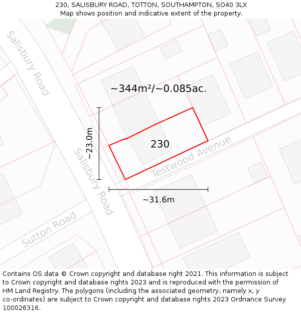 230, SALISBURY ROAD, TOTTON, SOUTHAMPTON, SO40 3LX: Plot and title map