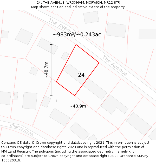 24, THE AVENUE, WROXHAM, NORWICH, NR12 8TR: Plot and title map