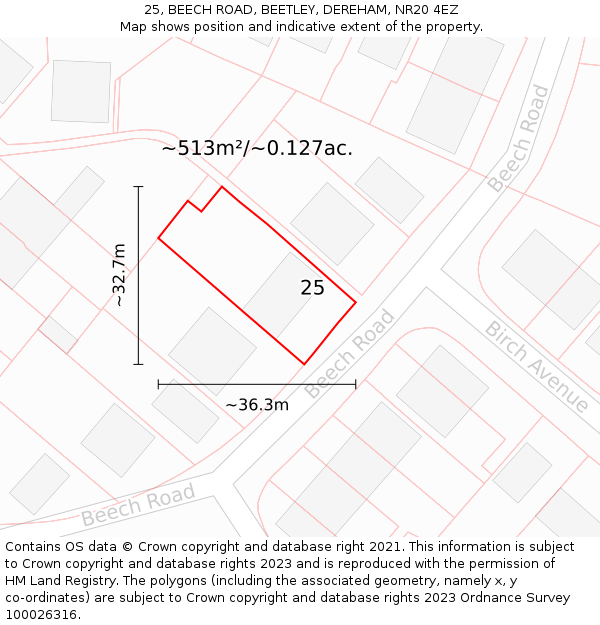 25, BEECH ROAD, BEETLEY, DEREHAM, NR20 4EZ: Plot and title map